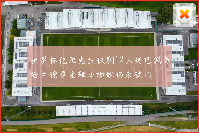 世界杯亿元先生仅剩12人姆巴佩与哈兰德争金靴小蜘蛛仍未破门