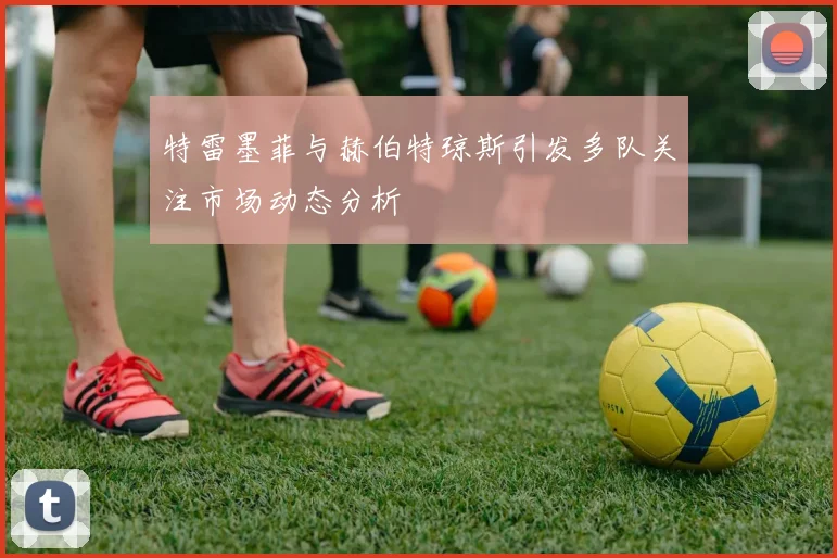 特雷墨菲与赫伯特琼斯引发多队关注市场动态分析